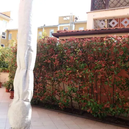 Versilia Lungomare Apartment